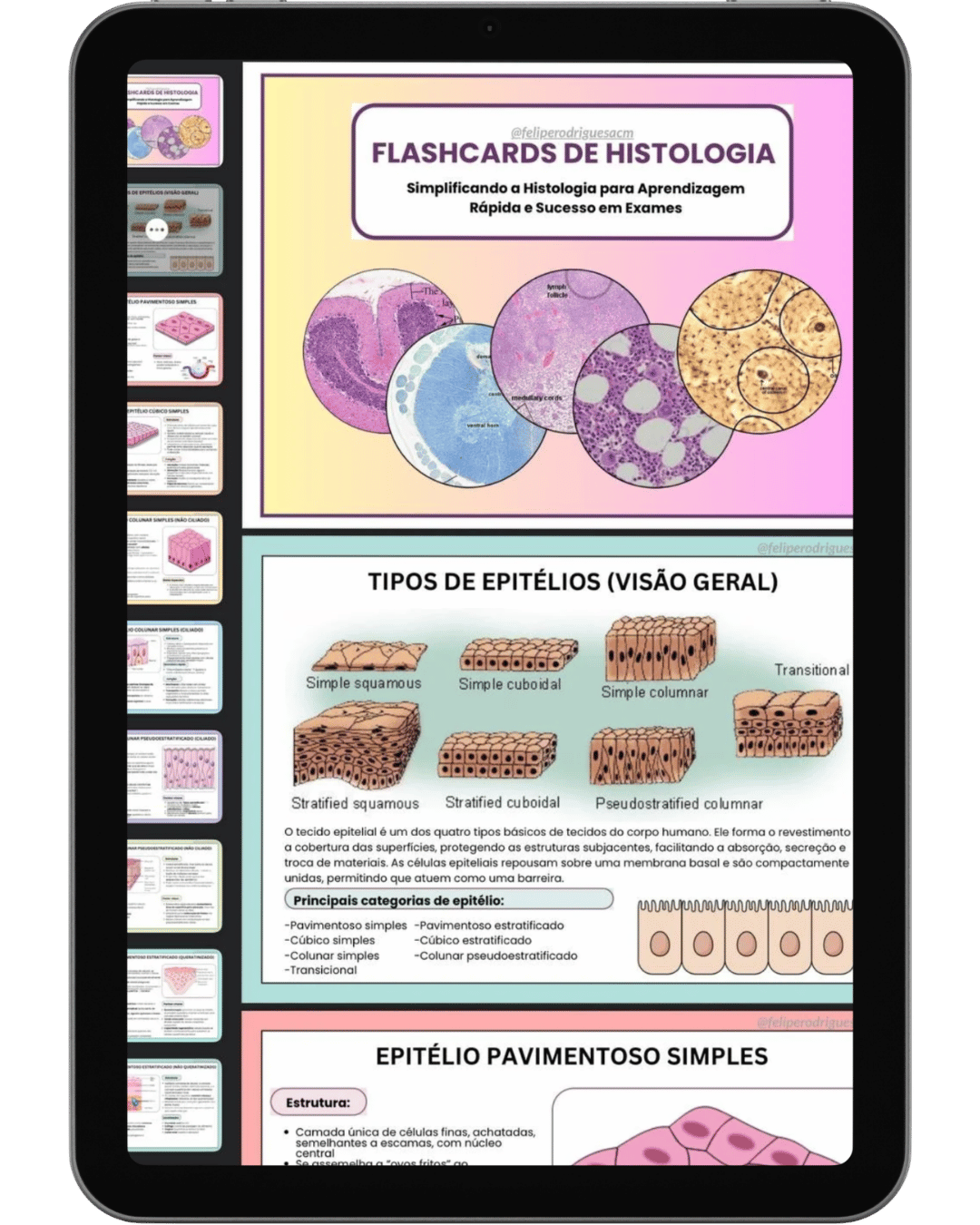 Mapa Histológico 1