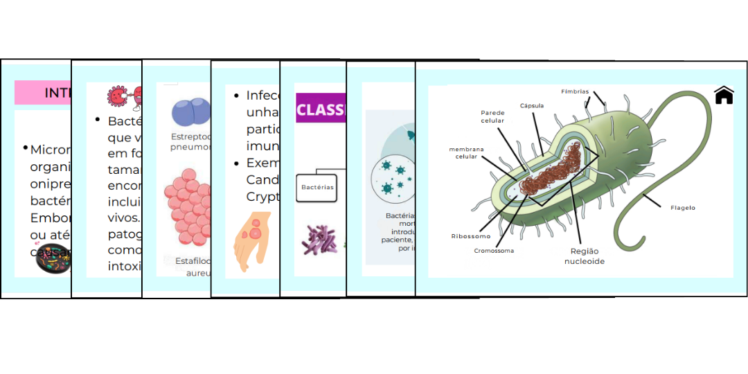 Capa Histologia 2