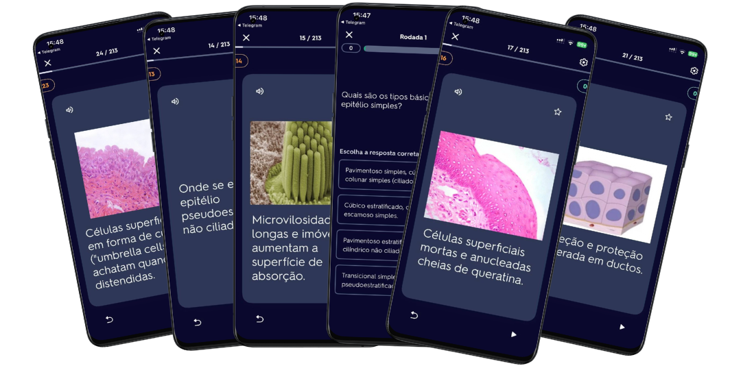 Capa Histologia 3